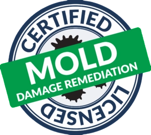 Certified mold remediation new